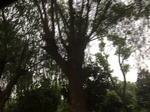 2017-09-10_06-58-08_A71EA178-FDBE-4AC4-899E-EA7111400A1A.jpg