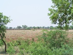 1773023042008(2).JPG