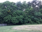 2018-05-26_19-03-31_83F6F6A3-75A2-4D92-8523-94E148AAC5C7.jpg