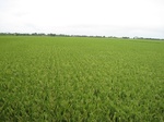 14472IMG_4830.JPG