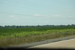 2022-06-11_16-04-40_6FF407BF-6FED-435D-9385-40215F5BEFD6.jpeg