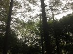 2017-09-10_06-57-51_17787539-04AB-4ADE-88D3-FD8E24B1FDF2.jpg