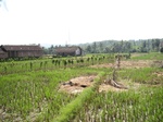 15424IMG_4290.JPG