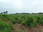 18703P1000541.JPG