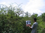 831949-scruland-dense-3.5m-b.jpg