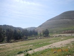 2017-02-01_03-56-51_DSCN0431.JPG