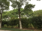 2017-09-12_05-00-37_78812382-F873-4BEB-AABA-8A8BD7A031E4.jpg