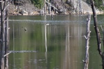 384IMG_3493.JPG