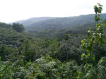 546911052008(39).JPG