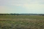 2022-05-26_14-36-54_467F8E88-B6EF-4DCD-9B0E-53AD7257ADA7.jpeg