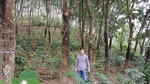 2016-12-02_21-10-08_20161117_102349_001.jpg