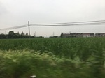 2017-09-11_22-59-59_90251B41-8470-427E-B986-BC4DB2C501C5.jpg