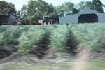 2022-05-26_14-42-57_2C76A437-FF5C-4DE4-9512-E5B3405F8B18.jpeg