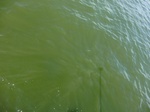 2012-09-21_14-27-11_CIMG3168.JPG