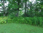 2017-07-03_17-12-40_4553N-7563W-north-20170702.jpg