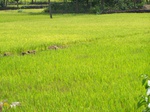 505120042008(94).JPG