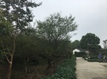 2017-09-11_22-22-46_012640DE-75C2-47C2-92CF-B2173222C375.jpg