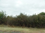 35800DSC02562.JPG
