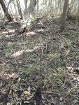 2012-09-24_10-40-20_DSC03146.JPG