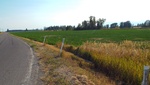 2018-09-06_21-47-52_DSCF5091.JPG