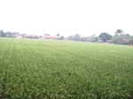 16048IMG_4785.JPG