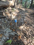 2012-09-24_10-40-16_DSC03076.JPG