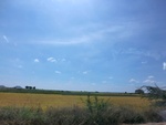 56170CIMG6874.JPG