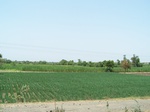 1764722042008(27).JPG