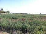 2012-09-04_11-18-25_IMG_1687.JPG