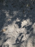 2020-09-28_19-57-26_ee63be285be45f349ea74572075b1531.jpg