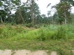 20031P1010881.JPG