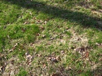 2017-02-24_13-45-38_Feb17-097-TN.jpg