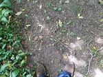 2018-09-01_13-21-47_20180901_141103.jpg