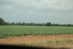 2022-06-11_15-55-40_D8073987-D19E-40A2-9376-E933CE757DF7.jpeg