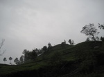 13458IMG_3841.JPG