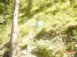 6601gt079-forest-1.jpg
