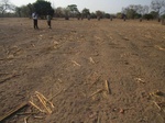 2012-09-28_10-00-23_Conservation Farming Plot.jpg