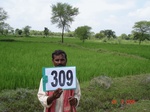 74200309b-irrigated-canal-rice-doublecrop-chickpeas.jpg