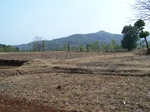 505720042008(105).JPG