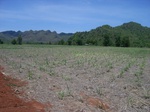 18144CentralThailand-1 (7).JPG