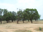 485602052008(50).JPG