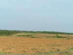 17554100_2815.JPG