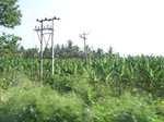 17595100_2532.JPG