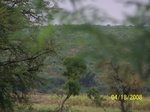 491418042008(14).JPG