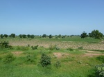 19449P1010296.JPG