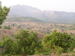 508120042008(158).JPG