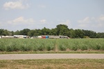 2022-06-11_17-48-46_EBA507E7-A3EB-456E-877D-7CA6AF9E0901.jpeg