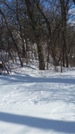 2017-02-17_13-59-53_20170216_135847.jpg