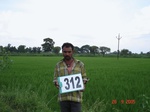 74330312c-irrigated-supplemental-tank-rice.jpg