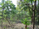 528627042008(82).JPG